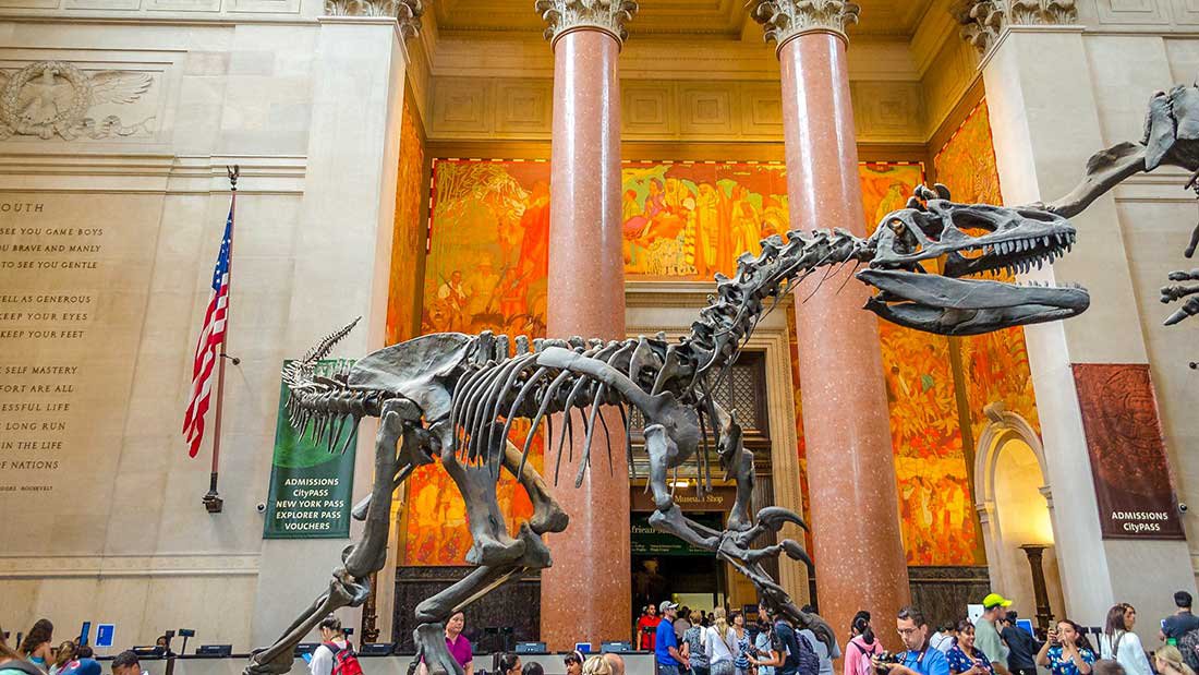 American Museum of Natural History in Central Park