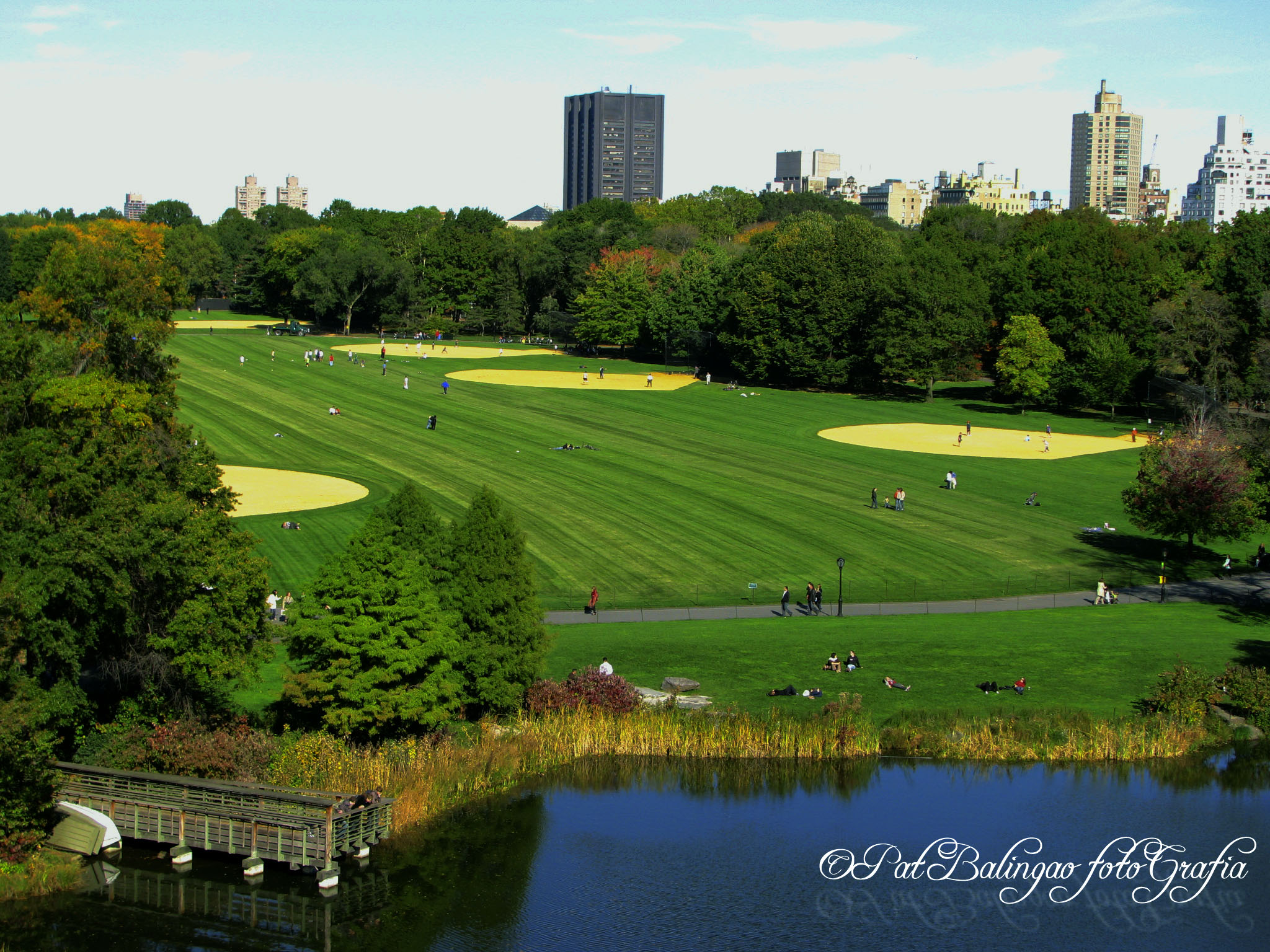 Great Lawn in Central Park