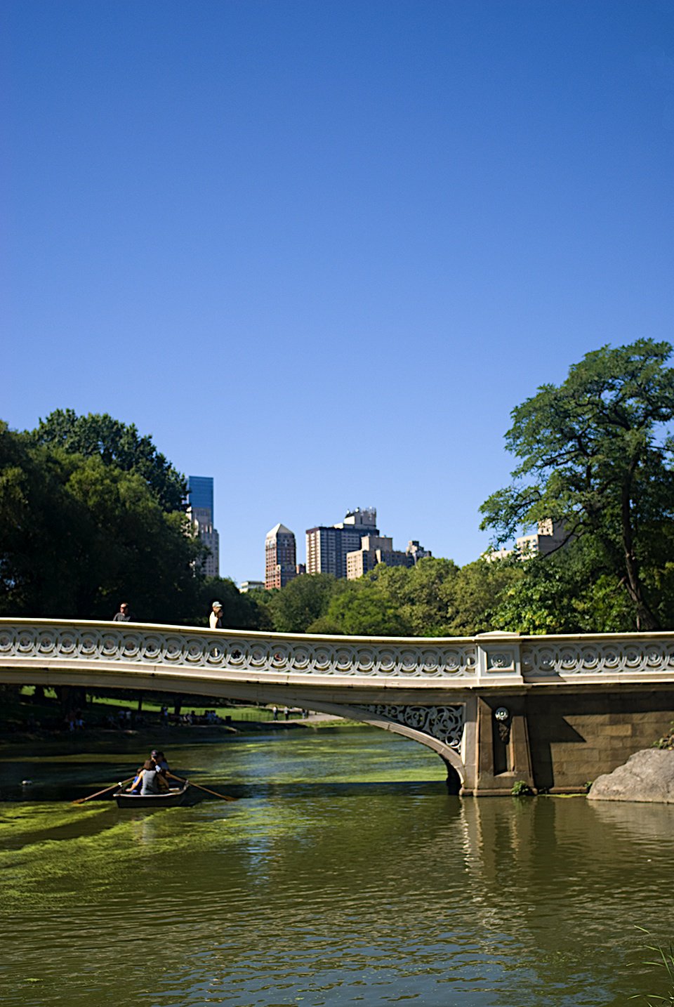 Photo entry: Bow Bridge Row