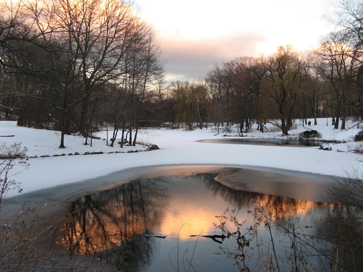 The Pond in Central Park