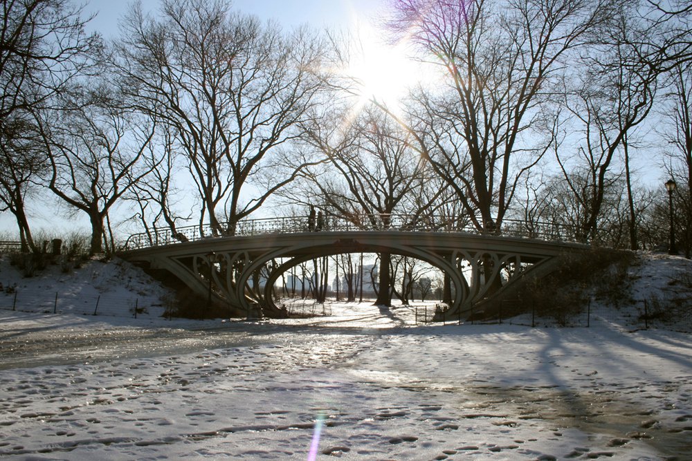 Photo entry: Central Park Bridge