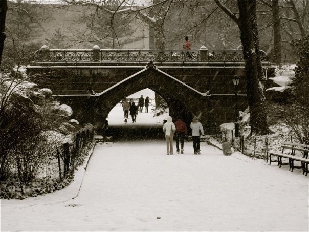 Central Park - snowing