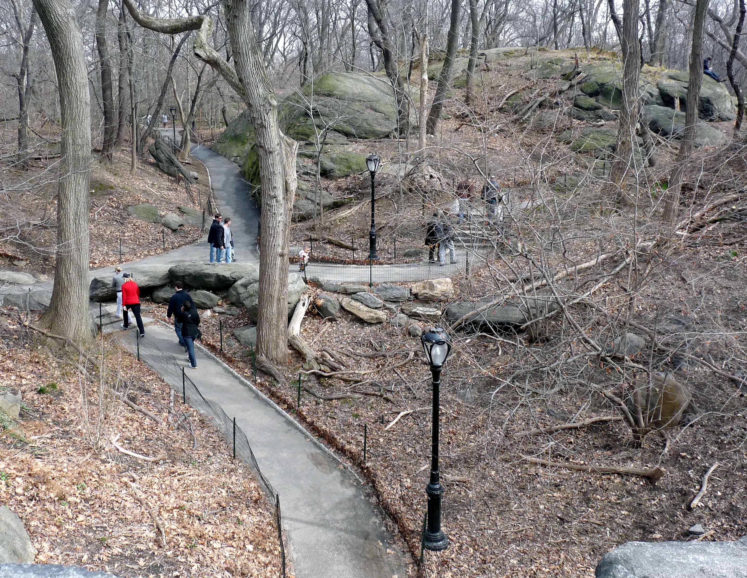 Ramble in Central Park