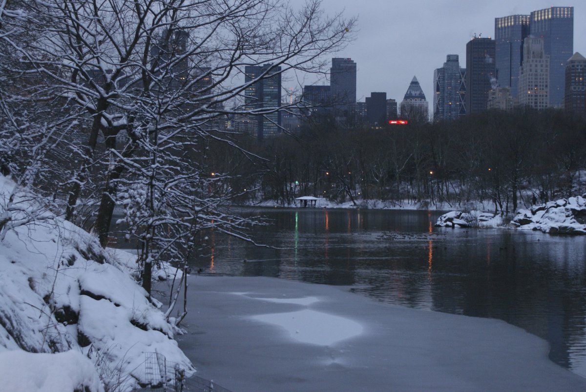 Photo entry: Winter in the park