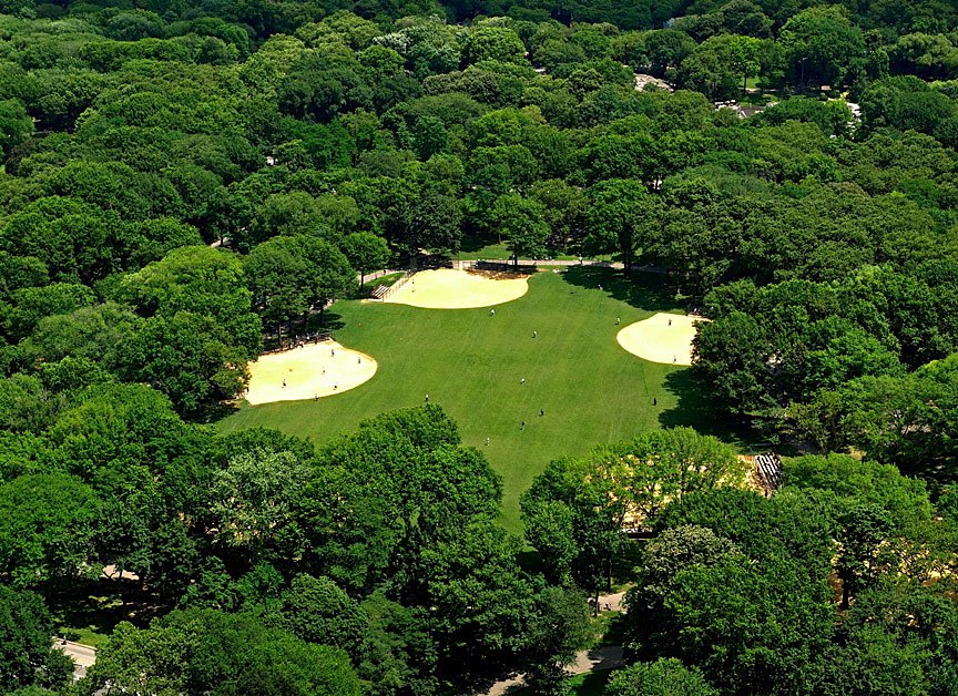 Baseball and Softball in Central Park