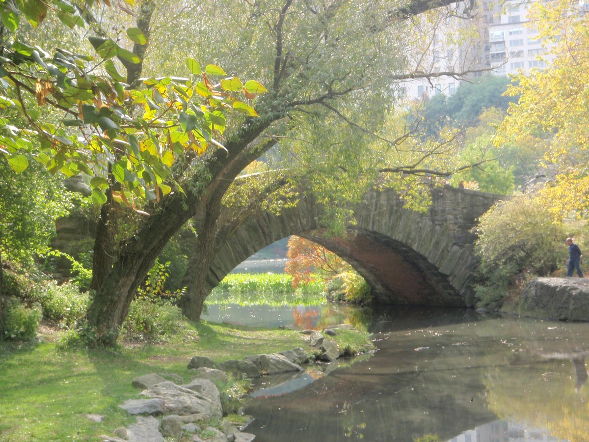 Photo entry: Bridge in Central Park