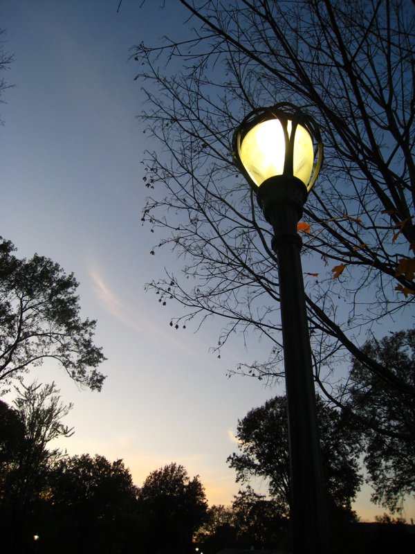 Photo entry Street Lamp