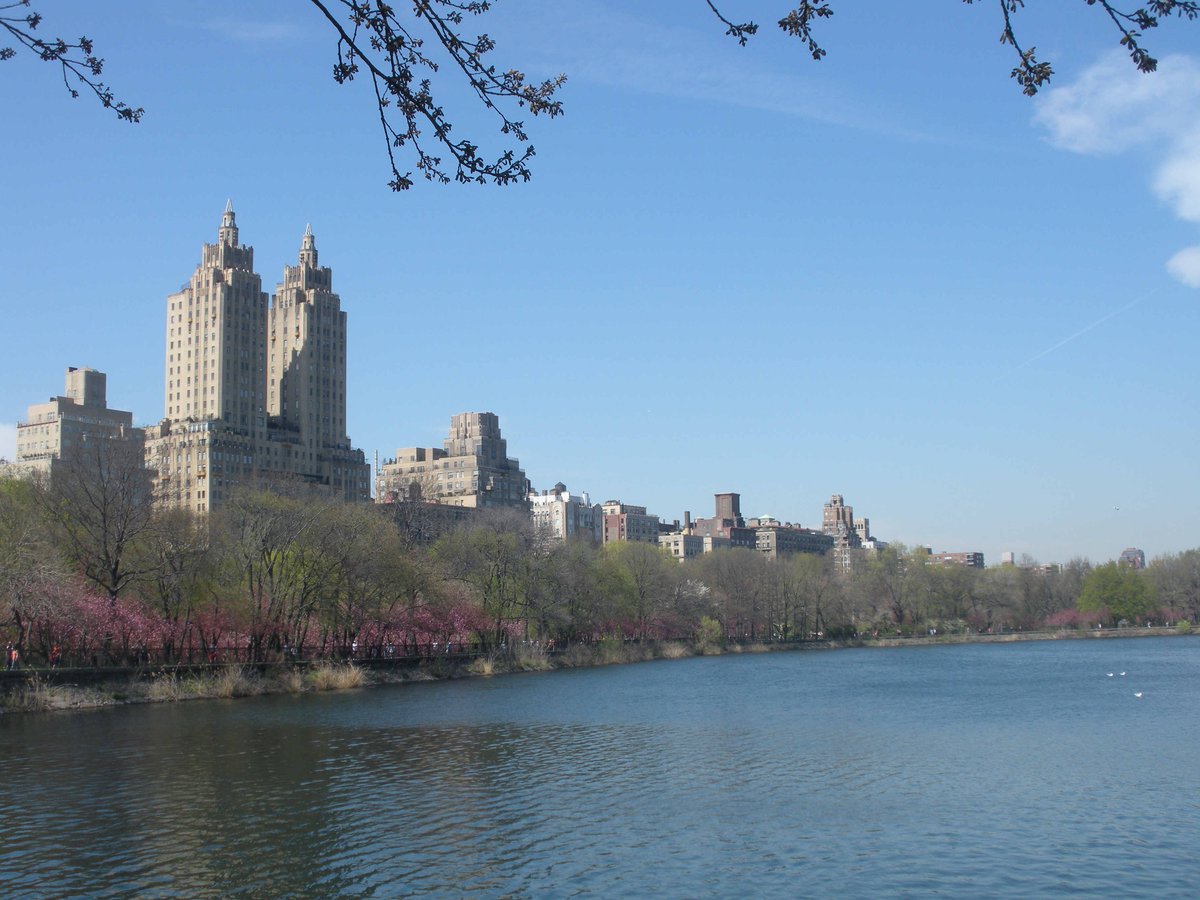 Photo entry: The Reservoir in Spring