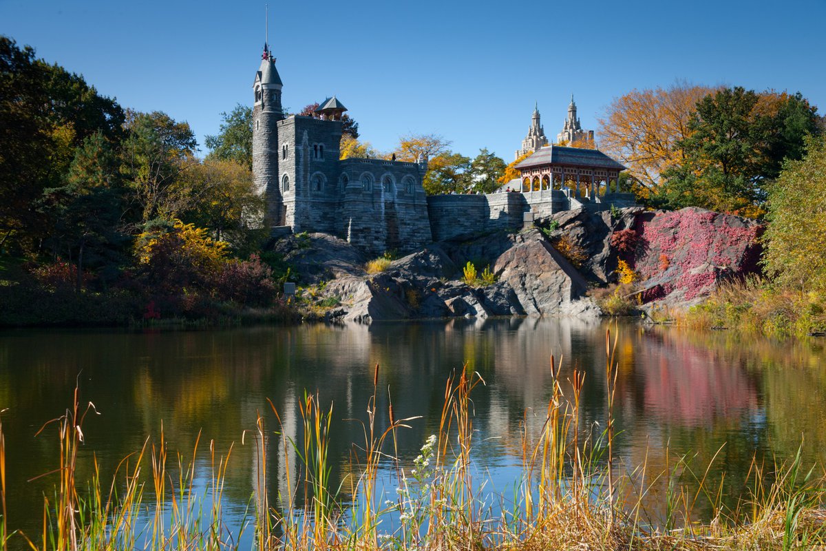 children-s-activities-in-central-park