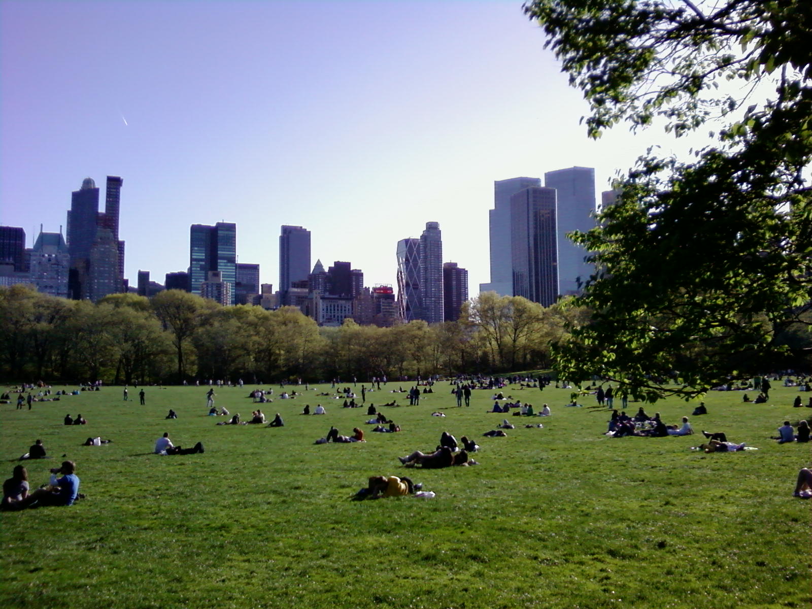 Sheep Meadow in Central Park