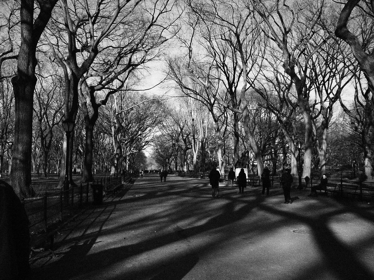Photo entry: Central Park