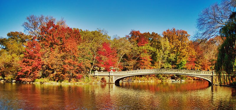 Photo entry: This handsomely designed cast-iron bridge