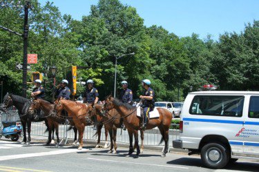 Photo entry: police riding horses