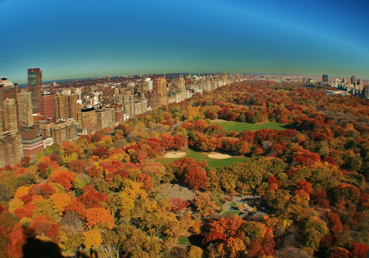 Best Fall Photo Spots in Central Park