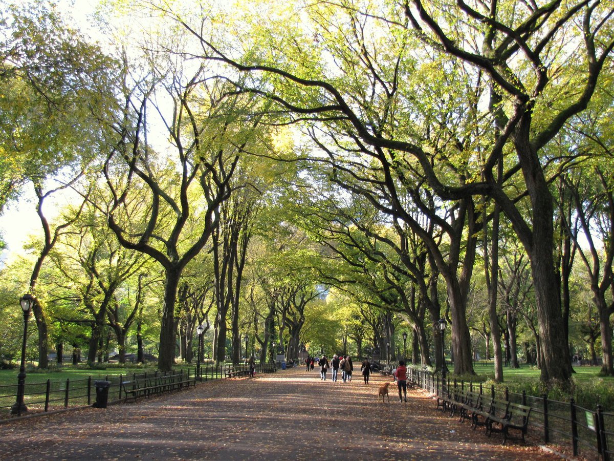 Hidden Secrets Walking Tour in Central Park