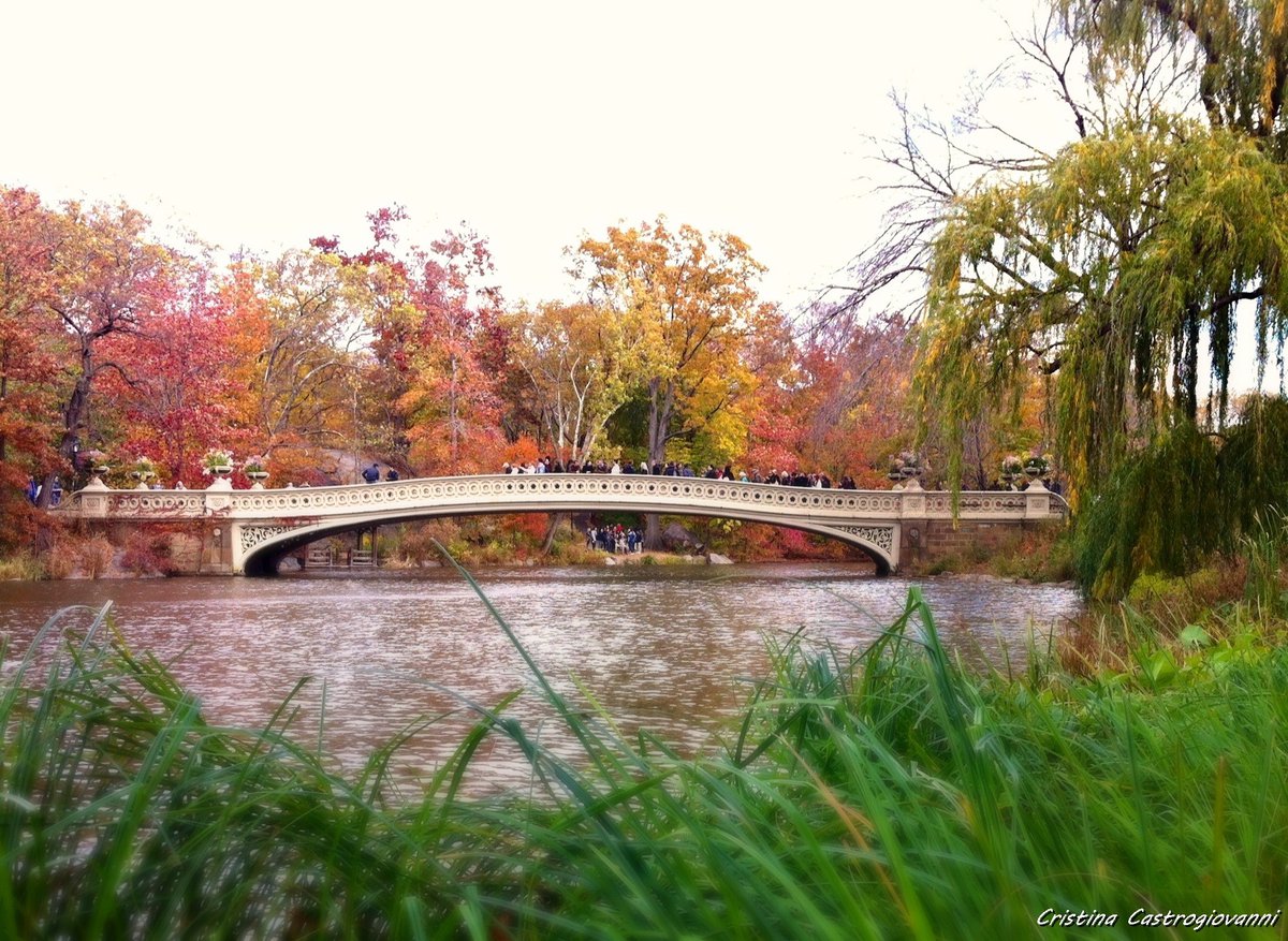 Photo entry: Autumn in Central Park