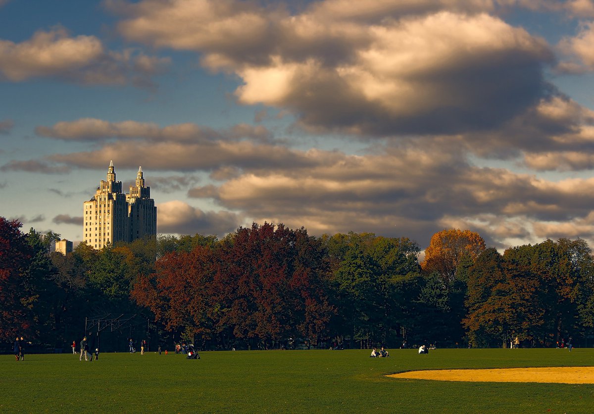 Photo entry Central Park Baseball Field