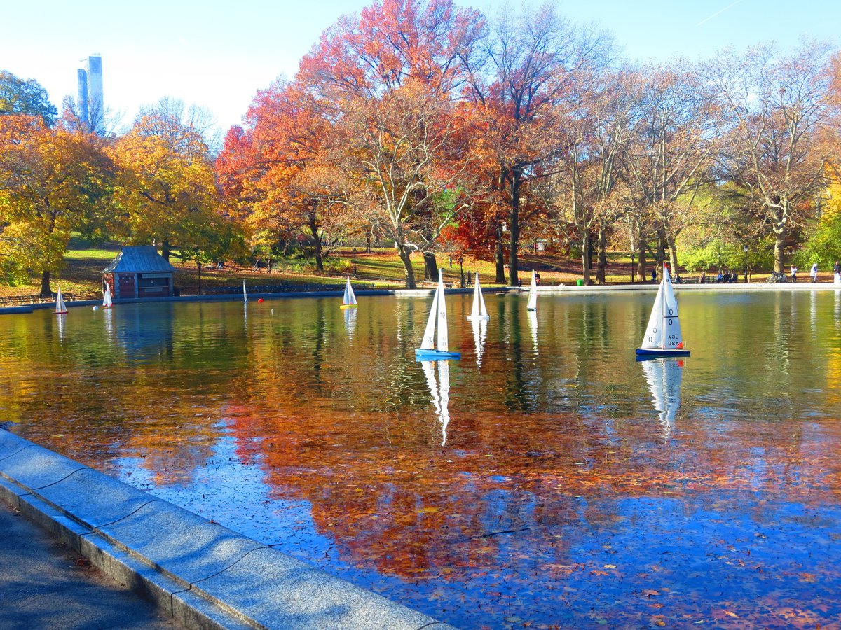 model yacht racing