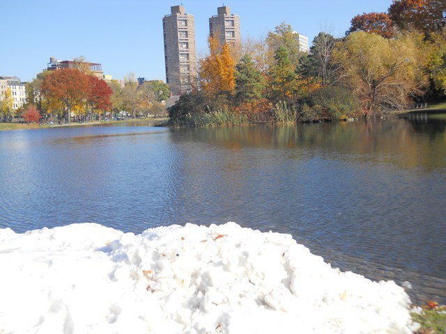 4 Seasons Central Park