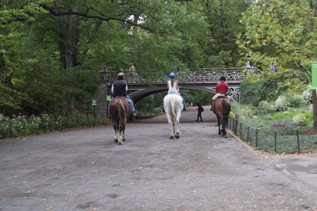 horse ride in central park