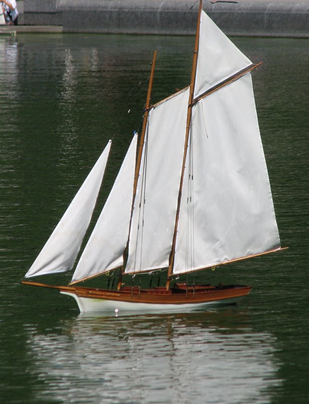 remote control sailboats for adults