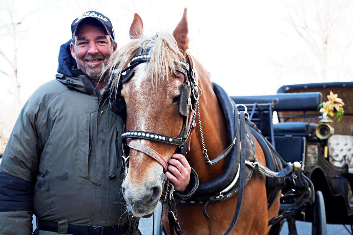 Roger, A Well Know Central Park Carriage Horse, Retires After 17-Years