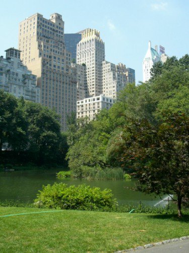 Photo entry: Central Park view