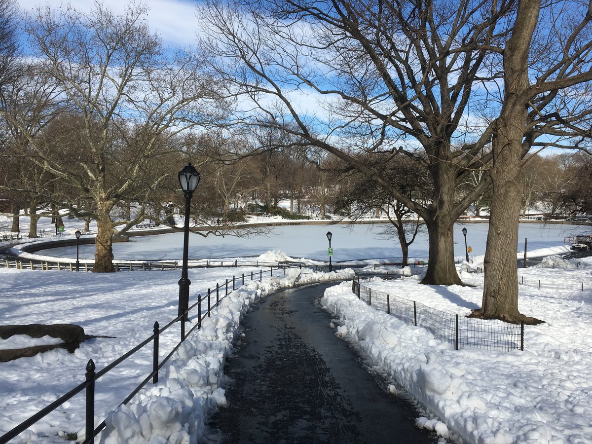 An Easy Winter in Central Park