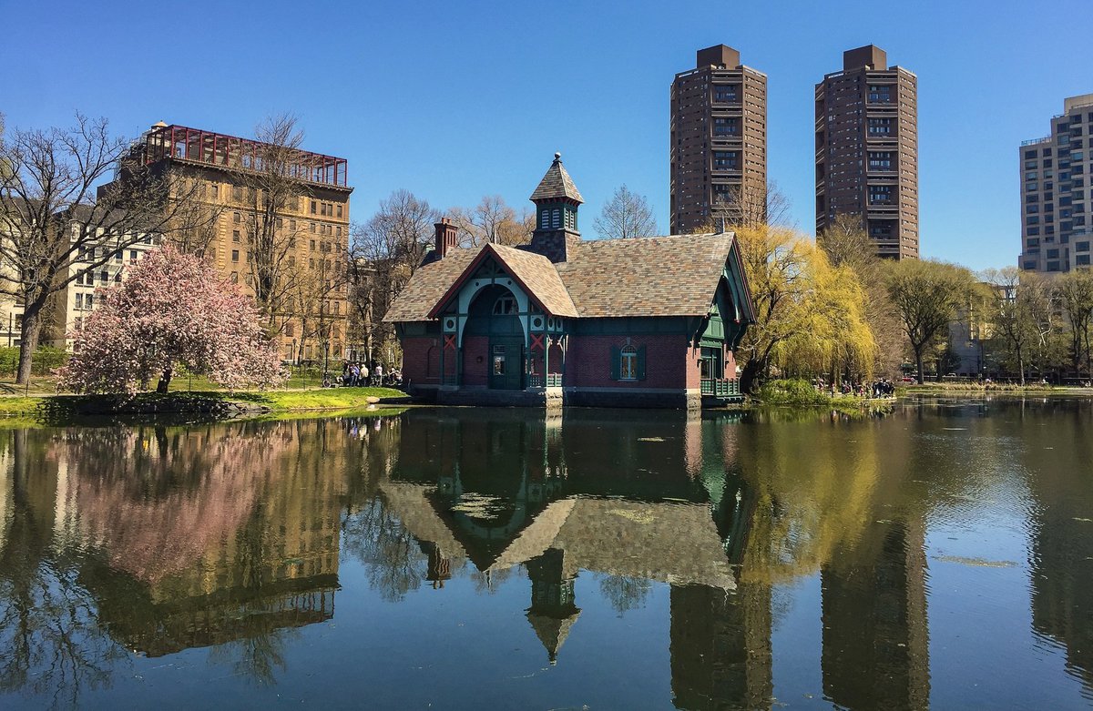 Quiet, Raw and Coiffed in North Central Park