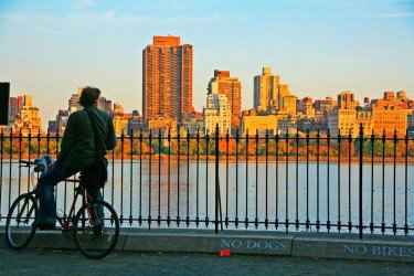 Central Park Cyclist 