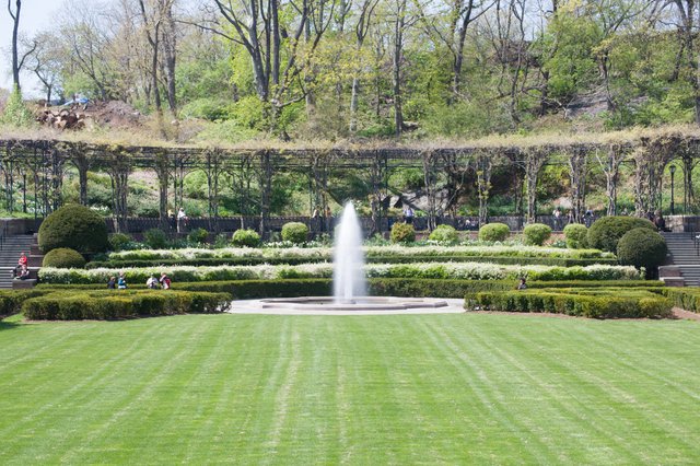 Central Park Weddings