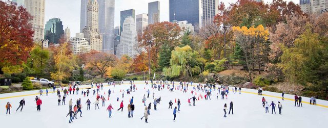 Resultado de imagen de central park