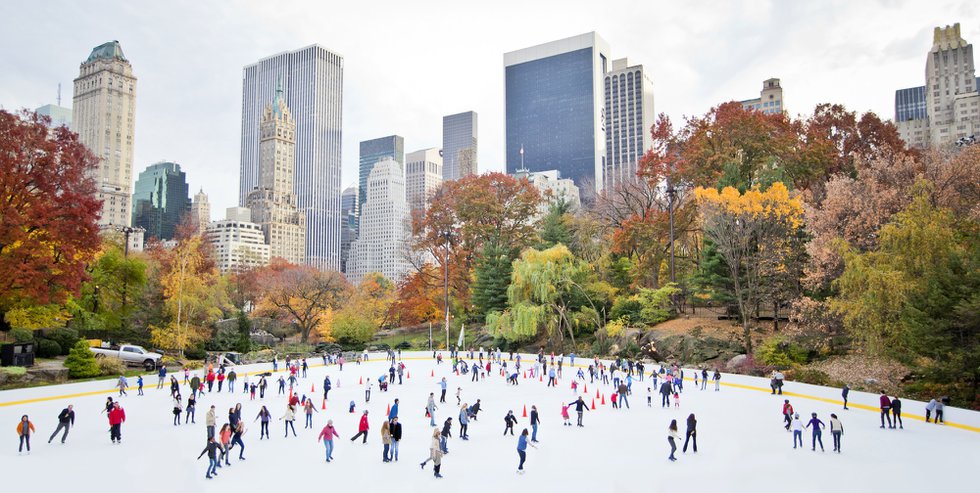 Central park store ice skating rink