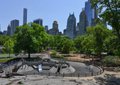 Heckscher Playground