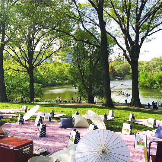 Picnics In Central Park 7974