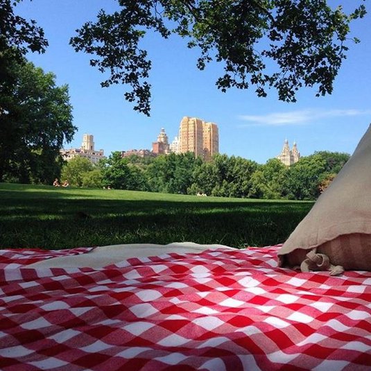 Top 7 Picnic Spots In Central Park 4648