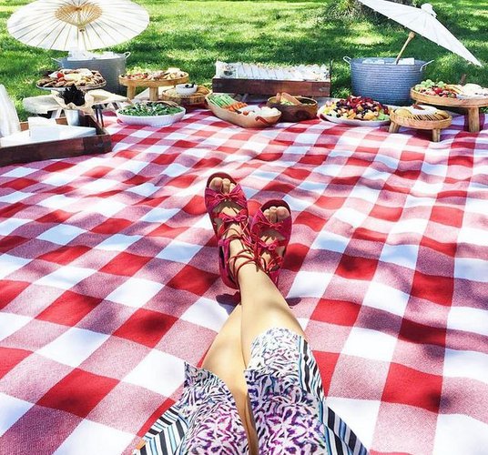 Picnics In Central Park 2919