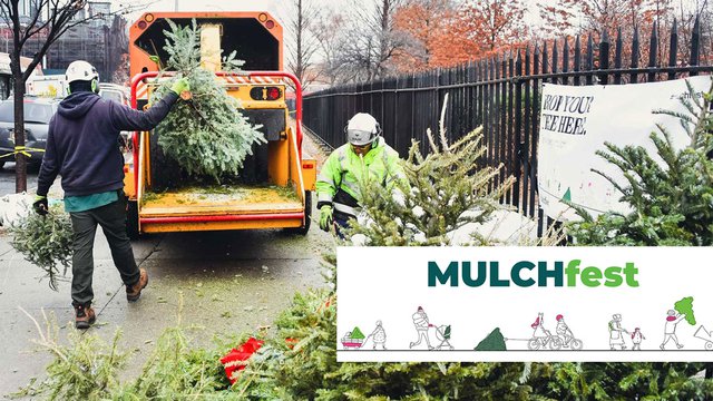 Mulchfest 2021/22